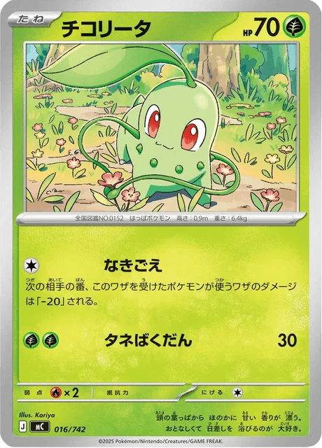 Chikorita