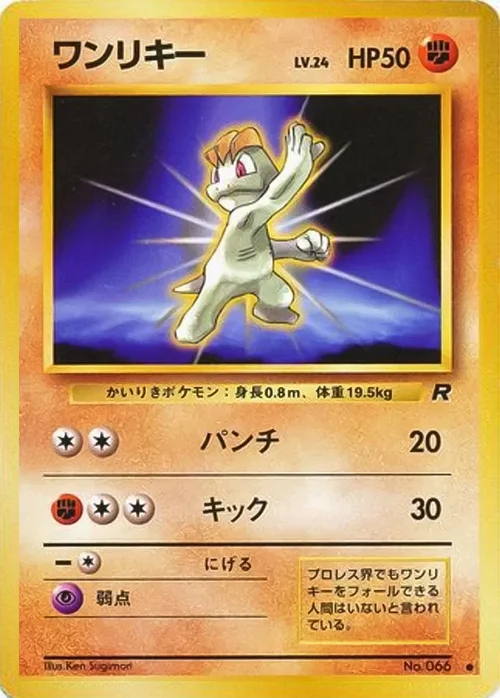Machop Lv.24