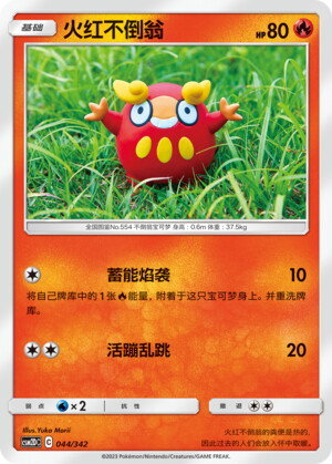 Darumaka