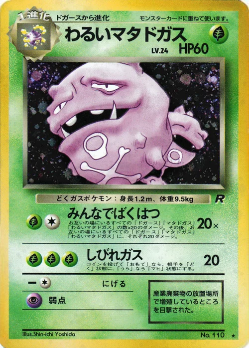 Dark Weezing Lv.24