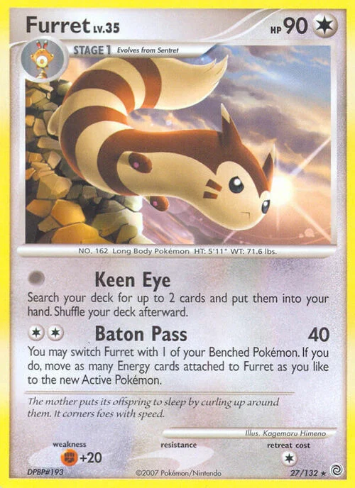 Furret Lv.35