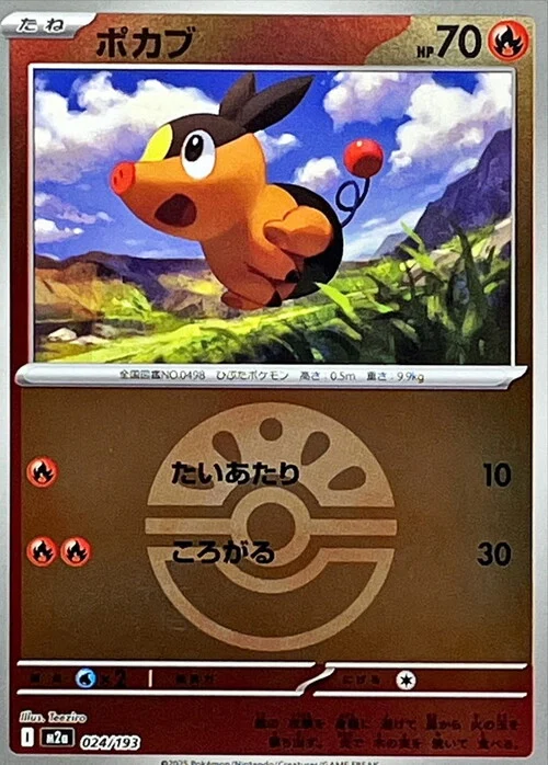Tepig