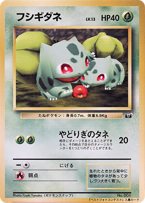 Bulbasaur Lv.13