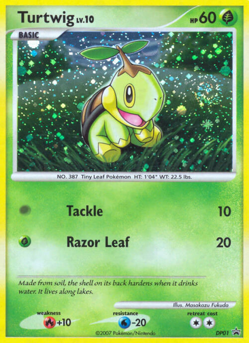 Turtwig Lv.10