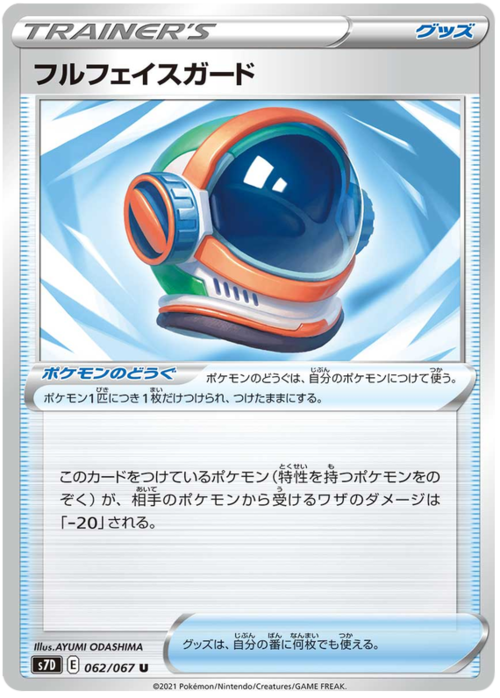 Full Face Guard