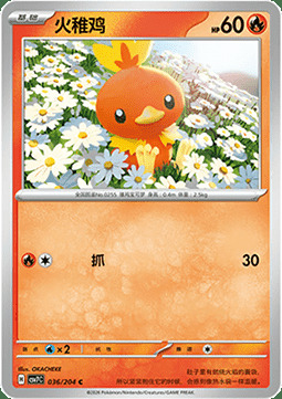 Torchic