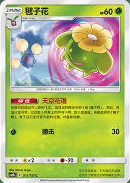 Skiploom