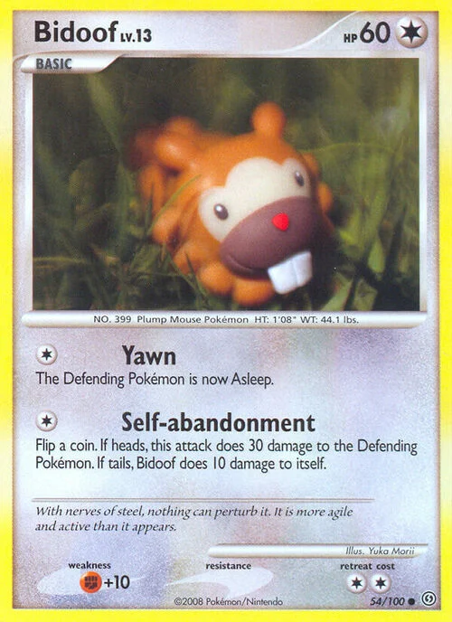 Bidoof Lv.13