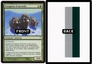 Troupeau d'aurochs/Black Border Stripes Filler Card