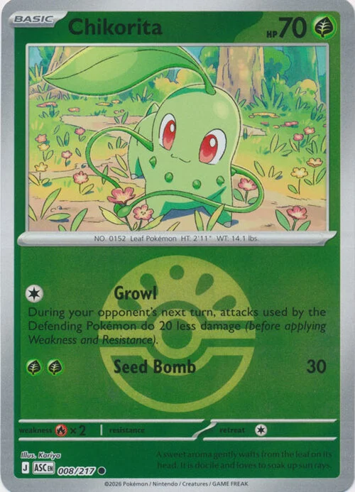 Chikorita