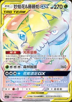 Venusaur & Snivy GX
