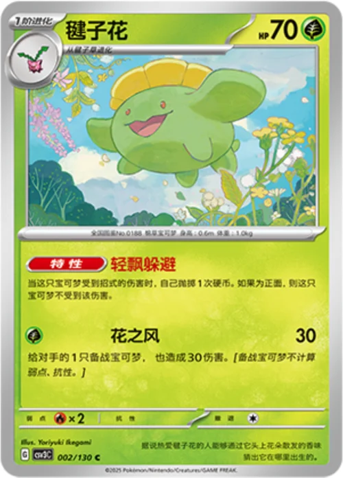 Skiploom
