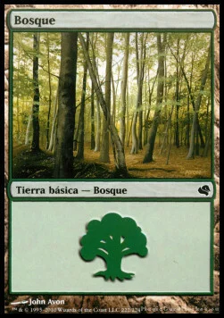 Forest