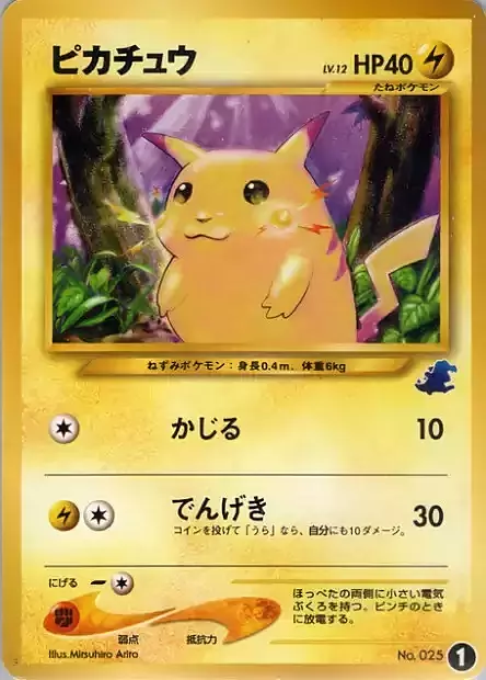 Pikachu Lv.12