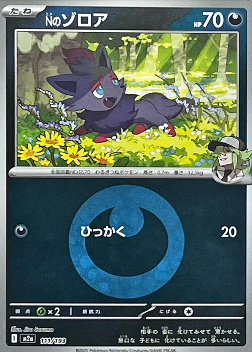 N's Zorua