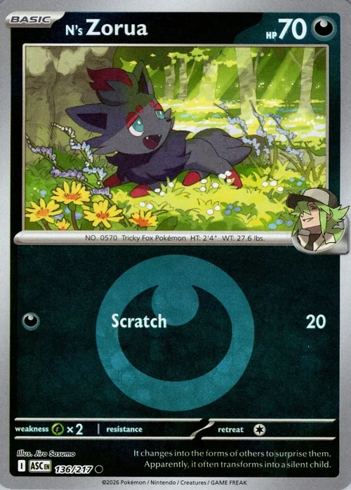 N's Zorua