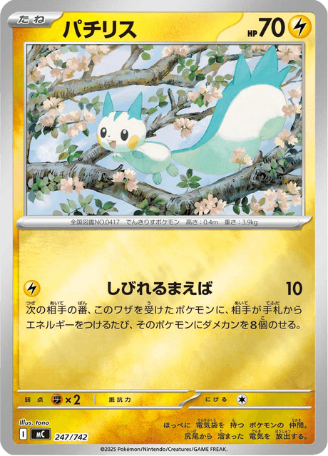 Pachirisu