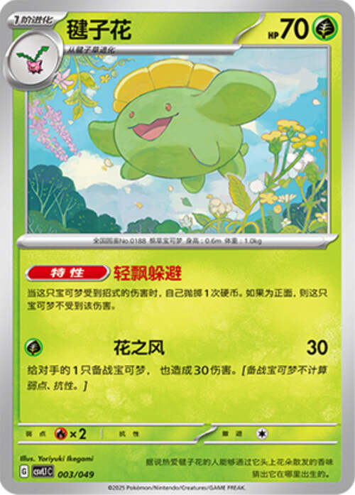 Skiploom