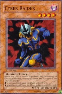 Cyber Raider