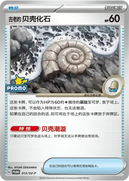 Antique Helix Fossil