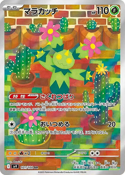 Maractus