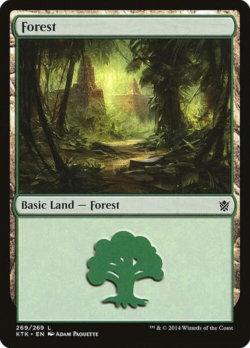 Forest