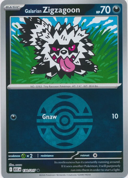 Galarian Zigzagoon