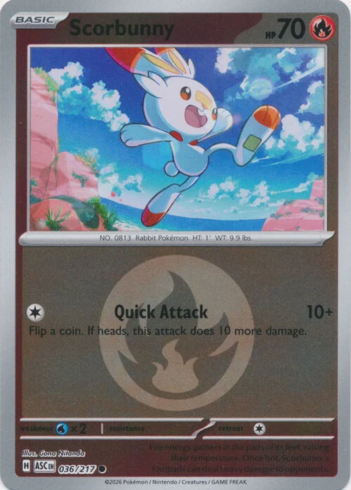 Scorbunny