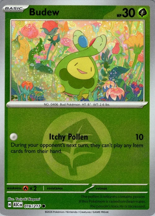 Budew