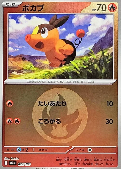 Tepig