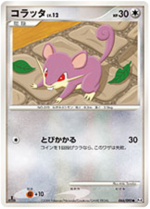 Rattata Lv.12