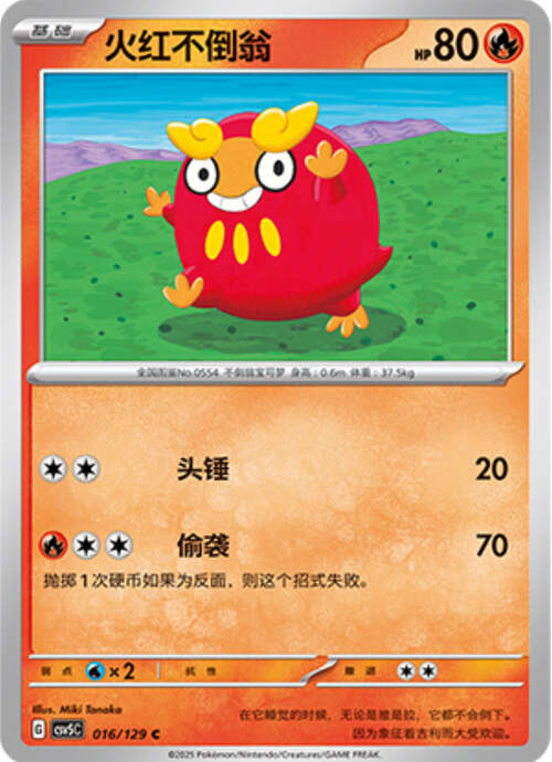 Darumaka