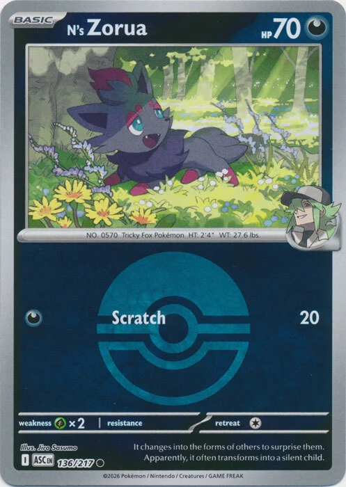 N's Zorua