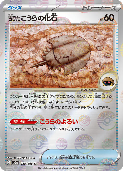 Antique Dome Fossil