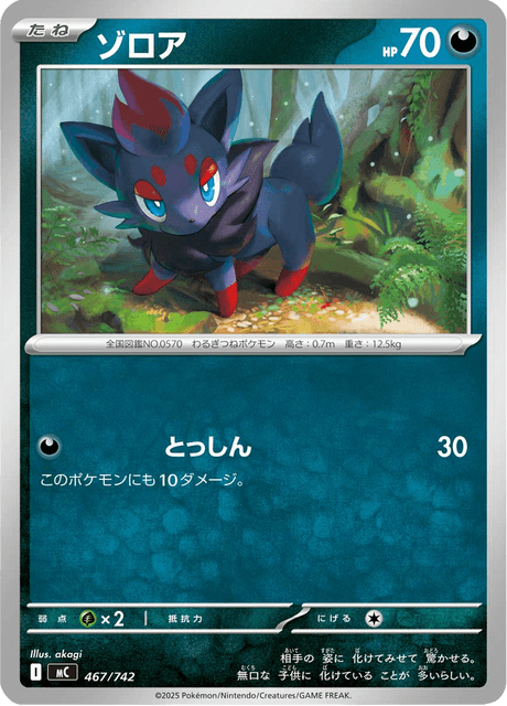 Zorua