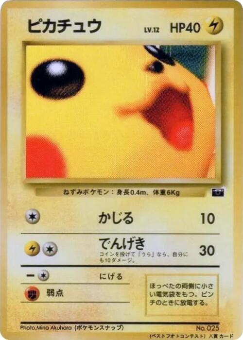 Pikachu Lv.12