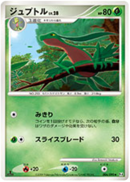 Grovyle Lv.28