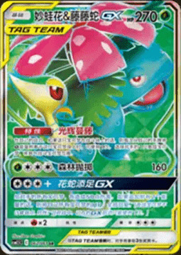 Venusaur & Snivy GX