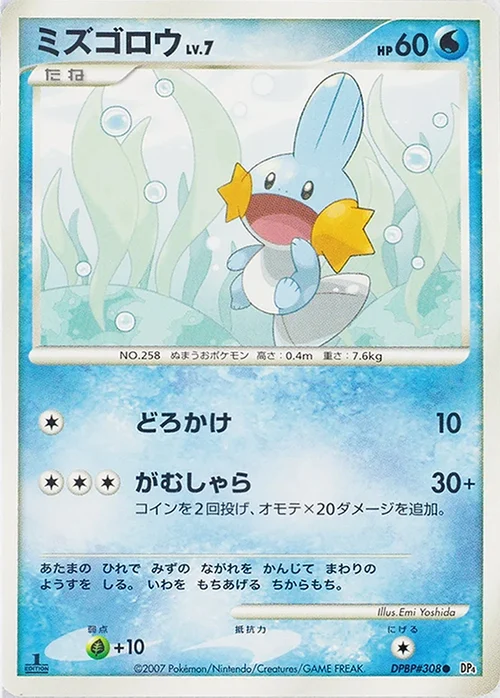 Mudkip Lv.7