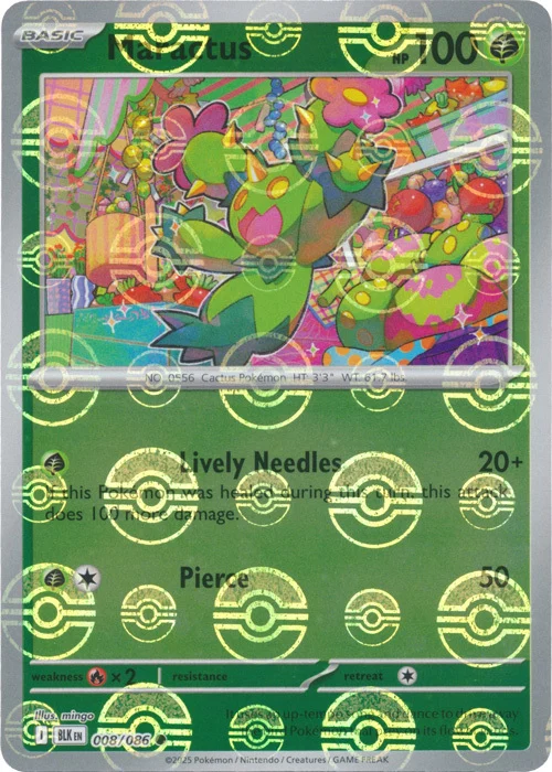 Maractus