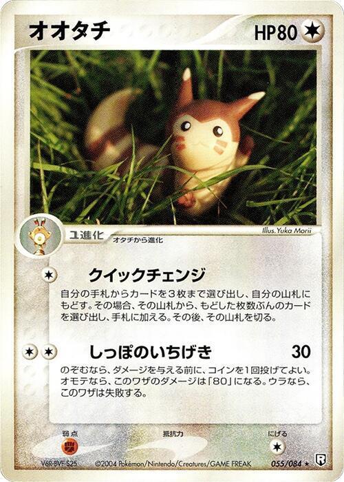 Furret