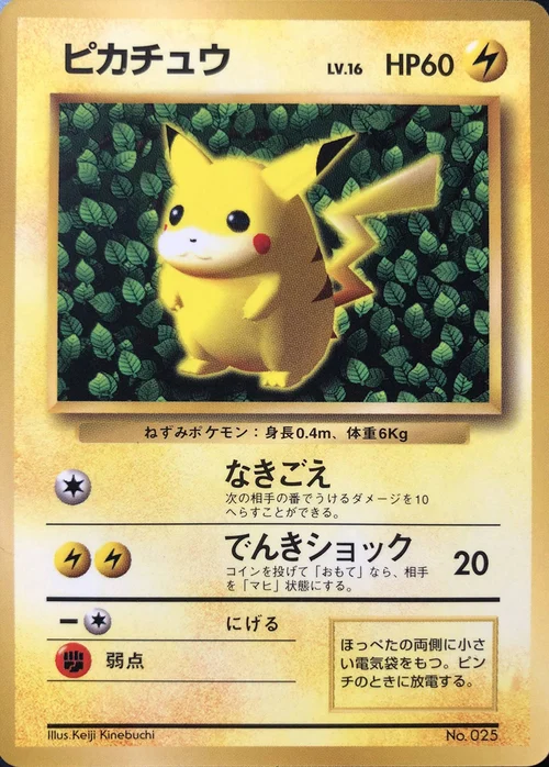 Pikachu Lv.16