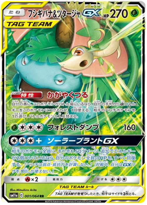 Venusaur & Snivy GX