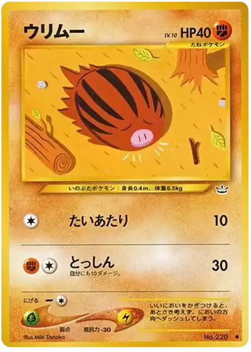 Swinub Lv.10