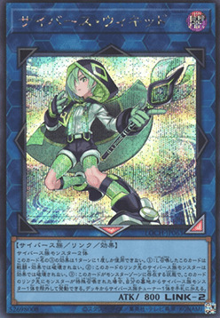 Cyberse Wicckid