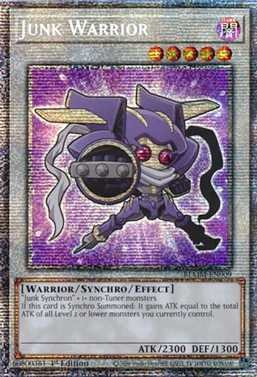 Junk Warrior