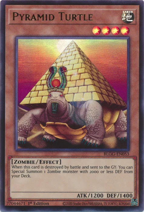 Pyramid Turtle