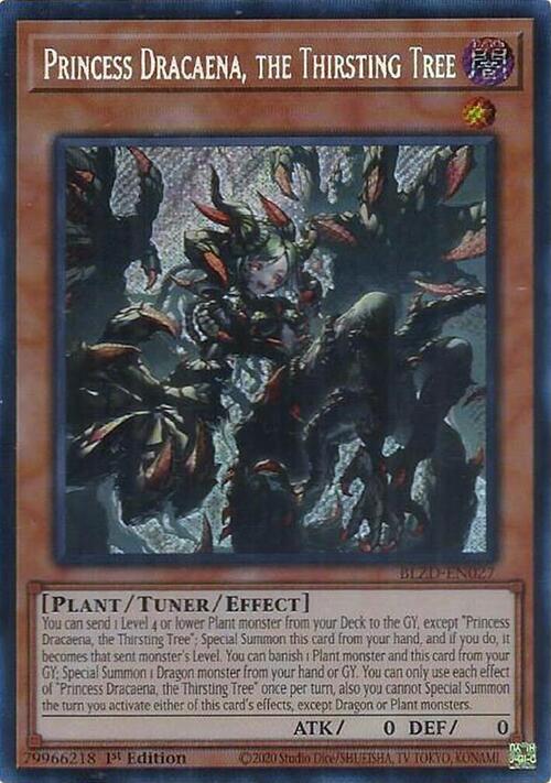 Princess Dracaena, the Thirsting Tree