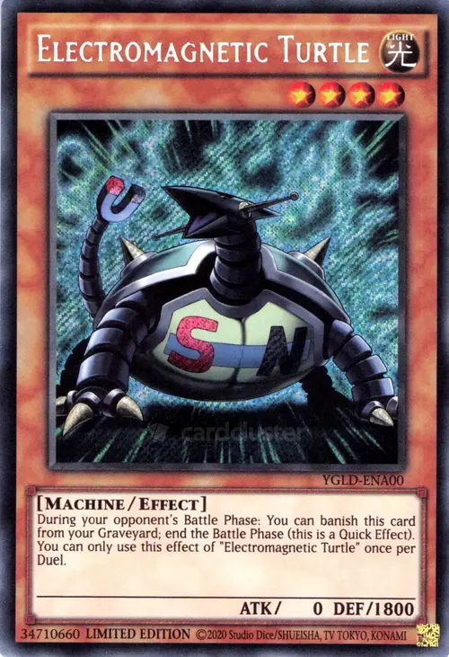 Electromagnetic Turtle