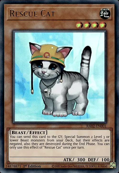 Rescue Cat